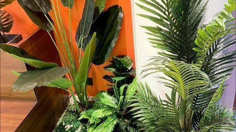 餐饮开业活动策划分类及类型解析